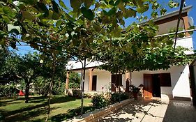 Apartment Kazalac Green Oasis